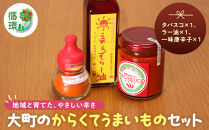 【信濃大町循環ブランド】大町のからくてうまいものセット