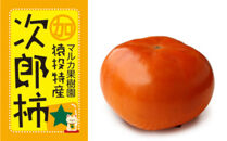 ＜先行受付＞次郎柿　約4.6kg【2026年10月下旬以降順次発送】