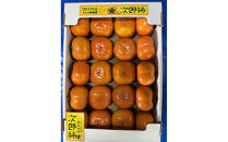 ＜先行受付＞次郎柿　約4.6kg【2026年10月下旬以降順次発送】