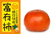 ＜先行受付＞富有柿　約4.4kg【2026年11月上旬以降順次発送】