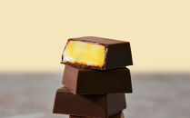 チョコレートバンク&nbsp;BANK&nbsp;BonBon&nbsp;1箱6粒入り&nbsp;キャラメルバナナ&nbsp;冷凍