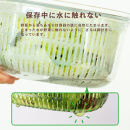 【グレー】ベジマジあらうスリム&nbsp;野菜保存容器&nbsp;ボウル&nbsp;ザル&nbsp;セット&nbsp;フタ付き&nbsp;透明
