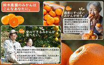 ［定期便］みかん&nbsp;5kg&nbsp;家庭用（11月～2月&nbsp;計4回）みかん&nbsp;定期便&nbsp;柑橘&nbsp;和歌山県&nbsp;海南市&nbsp;早生みかん&nbsp;蔵出しみかん&nbsp;鈴木農園