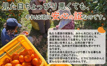 ［定期便］みかん&nbsp;5kg&nbsp;家庭用（11月～2月&nbsp;計4回）みかん&nbsp;定期便&nbsp;柑橘&nbsp;和歌山県&nbsp;海南市&nbsp;早生みかん&nbsp;蔵出しみかん&nbsp;鈴木農園