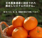 ［定期便］みかん&nbsp;5kg&nbsp;家庭用（11月～2月&nbsp;計4回）みかん&nbsp;定期便&nbsp;柑橘&nbsp;和歌山県&nbsp;海南市&nbsp;早生みかん&nbsp;蔵出しみかん&nbsp;鈴木農園