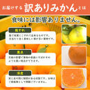 ［定期便］みかん&nbsp;5kg&nbsp;家庭用（11月～2月&nbsp;計4回）みかん&nbsp;定期便&nbsp;柑橘&nbsp;和歌山県&nbsp;海南市&nbsp;早生みかん&nbsp;蔵出しみかん&nbsp;鈴木農園