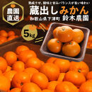 ［定期便］みかん&nbsp;5kg&nbsp;家庭用（11月～2月&nbsp;計4回）みかん&nbsp;定期便&nbsp;柑橘&nbsp;和歌山県&nbsp;海南市&nbsp;早生みかん&nbsp;蔵出しみかん&nbsp;鈴木農園