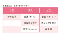 【全7回お届け】総社もも生産組合　食べ尽くし　厳選超大玉　極み7選コース【7月下旬以降発送】