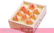 総社もも生産組合　6月-7月早生の桃　自家用1.8kg【6月下以降発送】