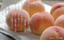 岡山の桃　6月&nbsp;-&nbsp;7月　早生の桃　900ｇ【6月下旬以降発送】
