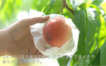 岡山の桃　6月&nbsp;-&nbsp;7月　早生の桃　900ｇ【6月下旬以降発送】