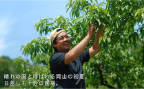 岡山の桃　6月&nbsp;-&nbsp;7月　早生の桃　900ｇ【6月下旬以降発送】