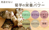 紫菊芋パウダー&nbsp;120g&nbsp;2袋セット&nbsp;ぬかっち&nbsp;島根県産&nbsp;イヌリン&nbsp;国産&nbsp;無添加&nbsp;きくいも&nbsp;粉末