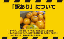 【11月発送&nbsp;訳あり】有田みかん&nbsp;約10kg&nbsp;家庭用