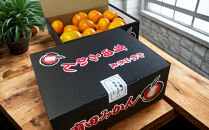 【12月発送&nbsp;訳あり】有田みかん&nbsp;約10kg&nbsp;家庭用
