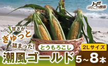 ［2027年発送&nbsp;先行予約&nbsp;夏の味覚］潮風ゴールド&nbsp;2Lサイズ&nbsp;5～8本&nbsp;1セット&nbsp;とうもろこし&nbsp;トウモロコシ&nbsp;ゴールドラッシュ&nbsp;黄色&nbsp;スイートコーン&nbsp;茹でとうもろこし&nbsp;白浜町