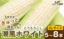 ［夏の味覚］潮風ホワイト&nbsp;2Lサイズ&nbsp;5～8本&nbsp;1セット&nbsp;とうもろこし&nbsp;トウモロコシ&nbsp;白&nbsp;コーン&nbsp;とうもろこし&nbsp;BBQ&nbsp;焼き肉&nbsp;白浜町