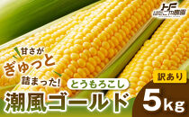 ［おいしさそのまま］訳アリ&nbsp;潮風ゴールド&nbsp;5kg&nbsp;1セット&nbsp;とうもろこし&nbsp;トウモロコシ&nbsp;ゴールドラッシュ&nbsp;黄色&nbsp;潮風ゴールド&nbsp;スイートコーン&nbsp;茹でとうもろこし&nbsp;BBQ&nbsp;焼き肉&nbsp;白浜町