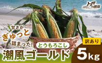 ［2027年発送&nbsp;先行予約&nbsp;夏の味覚］［おいしさそのまま］訳アリ&nbsp;潮風ゴールド&nbsp;5kg&nbsp;1セット&nbsp;とうもろこし&nbsp;トウモロコシ&nbsp;ゴールドラッシュ&nbsp;黄色&nbsp;潮風ゴールド&nbsp;スイートコーン&nbsp;茹でとうもろこし&nbsp;BBQ&nbsp;焼き肉&nbsp;白浜町