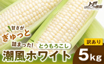 ［おいしさそのまま］訳アリ&nbsp;潮風ホワイト&nbsp;5kg&nbsp;1セット&nbsp;とうもろこし&nbsp;トウモロコシ&nbsp;白&nbsp;コーン&nbsp;とうもろこし&nbsp;BBQ&nbsp;焼き肉&nbsp;白浜町