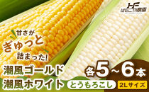 ［旬の２種類を贅沢に］食べ比べセット&nbsp;1セット&nbsp;とうもろこし&nbsp;トウモロコシ&nbsp;ゴールドラッシュ&nbsp;黄色&nbsp;潮風ゴールド&nbsp;潮風ホワイト&nbsp;スイートコーン&nbsp;茹でとうもろこし&nbsp;BBQ&nbsp;焼き肉&nbsp;白浜町