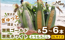 ［2027年発送&nbsp;先行予約&nbsp;夏の味覚］［旬の２種類を贅沢に］食べ比べセット&nbsp;1セット&nbsp;とうもろこし&nbsp;トウモロコシ&nbsp;ゴールドラッシュ&nbsp;黄色&nbsp;潮風ゴールド&nbsp;潮風ホワイト&nbsp;スイートコーン&nbsp;茹でとうもろこし&nbsp;BBQ&nbsp;焼き肉&nbsp;白浜町