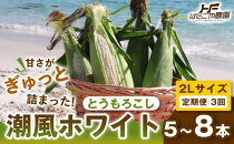 ［2027年発送&nbsp;先行予約&nbsp;夏の味覚］［定期便・全3回］潮風ホワイト&nbsp;2Lサイズ&nbsp;5～8本&nbsp;1セット&nbsp;とうもろこし&nbsp;トウモロコシ&nbsp;白&nbsp;コーン&nbsp;とうもろこし&nbsp;BBQ&nbsp;焼き肉&nbsp;白浜町
