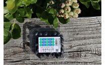 仙台市秋保産ブルーベリー&nbsp;(120gパックｘ4個　合計480g