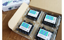 仙台市秋保産ブルーベリー&nbsp;(120gパックｘ4個　合計480g