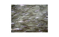 宮中献上品&nbsp;芦ノ湖産公魚（わかさぎ）（冷凍250g×2袋）×2箱セット&nbsp;合計1kg