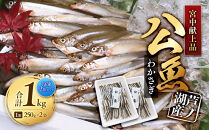 宮中献上品&nbsp;芦ノ湖産公魚（わかさぎ）（冷凍250g×2袋）×2箱セット&nbsp;合計1kg
