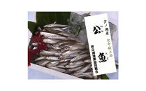 宮中献上品&nbsp;芦ノ湖産公魚（わかさぎ）（冷凍250g×2袋）×3箱セット&nbsp;合計1.5kg