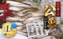 宮中献上品&nbsp;芦ノ湖産公魚（わかさぎ）（冷凍250g×2袋）×3箱セット&nbsp;合計1.5kg