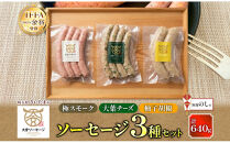 無地熨斗&nbsp;大宮ソーセージ&nbsp;ソーセージ&nbsp;3種&nbsp;味違い&nbsp;詰め合わせ&nbsp;セット【11100-2653】豚肉&nbsp;肉&nbsp;加工品&nbsp;生ソーセージ&nbsp;おかず&nbsp;惣菜&nbsp;おつまみ&nbsp;冷凍&nbsp;ギフト&nbsp;小分け&nbsp;贈り物&nbsp;燻製&nbsp;柚子胡椒&nbsp;チーズ&nbsp;粗挽き&nbsp;ジューシー&nbsp;食べ比べ&nbsp;埼玉県&nbsp;さいたま市