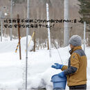 【北海道大雪サーモン&nbsp;鮭味噌】160g×3個&nbsp;ご飯のお供や酒の肴に&nbsp;ゴロっと鮭、ほぼ鮭!な贅沢な瓶詰め