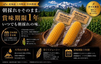 【先行予約/９月以降発送】大雪山の黄金&nbsp;　朝採れ！ゴールドラッシュコーン１０本　～賞味期限１年～