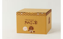 おうちで楽しむ栽培キット「きのこっ家」2個セット　しいたけ×しいたけ