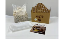 おうちで楽しむ栽培キット「きのこっ家」2種セット　しいたけ×たもぎたけ　