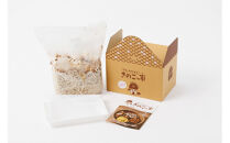 おうちで楽しむ栽培キット「きのこっ家」2個セット　きくらげ×きくらげ　