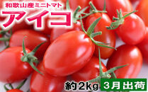 ［2027年3月出荷分］和歌山産ミニトマト「アイコトマト」約2kg（M・Lサイズおまかせ）&nbsp;［TM262］