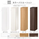 【完成品＋設置付き】オーダーすき間ラック〔幅21cm・扉左開き・ロータイプ〕（ホワイト）すき間ラック&nbsp;収納棚&nbsp;扉付き&nbsp;スリム&nbsp;約&nbsp;奥行32&nbsp;高さ90&nbsp;ロータイプ&nbsp;オーダーラック&nbsp;キッチン&nbsp;洗面所&nbsp;AKONBE400081-21L-WH