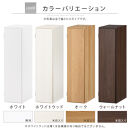 【完成品＋設置付き】オーダーすき間ラック〔幅24cm・扉左開き・ロータイプ〕（ホワイト）すき間ラック&nbsp;収納棚&nbsp;扉付き&nbsp;スリム&nbsp;約&nbsp;奥行32&nbsp;高さ90&nbsp;ロータイプ&nbsp;オーダーラック&nbsp;キッチン&nbsp;洗面所&nbsp;AKONBE400082-24L-WH