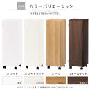 【完成品＋設置付き】オーダーすき間ラック〔幅30cm・キャスター・扉左開き・ロータイプ〕（ホワイト）すき間ラック&nbsp;収納棚&nbsp;約&nbsp;奥行32&nbsp;高さ96&nbsp;扉付き&nbsp;キャスター付き&nbsp;スリム&nbsp;ロータイプ&nbsp;本棚&nbsp;AKONBE400109-30L-WH