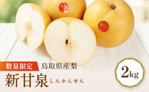 【先行予約】数量限定&nbsp;鳥取県産梨&nbsp;新甘泉&nbsp;約2kg&nbsp;梨&nbsp;梨2kg&nbsp;新甘泉2kg&nbsp;鳥取県産梨&nbsp;国産梨新甘泉&nbsp;鳥取&nbsp;先行予約&nbsp;梨先行予約&nbsp;新鮮&nbsp;旬&nbsp;フルーツ&nbsp;果物&nbsp;くだもの&nbsp;人気&nbsp;おすすめ&nbsp;鳥取県&nbsp;鳥取&nbsp;琴浦町