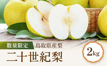 【先行予約】数量限定&nbsp;鳥取県産梨&nbsp;二十世紀梨&nbsp;約2kg&nbsp;二十世紀梨2kg&nbsp;梨2kg&nbsp;国産梨&nbsp;鳥取県産梨&nbsp;梨鳥取&nbsp;二十世紀梨&nbsp;先行予約&nbsp;梨先行予約&nbsp;新鮮&nbsp;旬&nbsp;フルーツ&nbsp;果物&nbsp;くだもの&nbsp;人気&nbsp;おすすめ&nbsp;鳥取県&nbsp;鳥取&nbsp;琴浦町