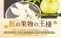 【先行予約】数量限定&nbsp;鳥取県産梨&nbsp;二十世紀梨&nbsp;約2kg&nbsp;二十世紀梨2kg&nbsp;梨2kg&nbsp;国産梨&nbsp;鳥取県産梨&nbsp;梨鳥取&nbsp;二十世紀梨&nbsp;先行予約&nbsp;梨先行予約&nbsp;新鮮&nbsp;旬&nbsp;フルーツ&nbsp;果物&nbsp;くだもの&nbsp;人気&nbsp;おすすめ&nbsp;鳥取県&nbsp;鳥取&nbsp;琴浦町