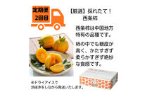 【全4回定期便】【柿専業の農家が作る】出雲の柿3種と旬をたのしむごほうび【2026年10月以降発送】