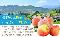 【訳あり】川中島白鳳&nbsp;2kg長野市産&nbsp;産地からクール便お届け｜&nbsp;桃&nbsp;川中島白鳳&nbsp;訳あり&nbsp;長野市産&nbsp;大容量&nbsp;人気&nbsp;おすすめ&nbsp;フルーツ&nbsp;果物&nbsp;もも&nbsp;白鳳&nbsp;家庭用&nbsp;加工用&nbsp;旬&nbsp;産地直送&nbsp;長野県&nbsp;長野市&nbsp;信州&nbsp;信濃&nbsp;ふるさと納税
