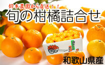 鈴木農園の旬の柑橘詰め合わせ&nbsp;4.5kg～5kg&nbsp;箱&nbsp;2月～4月発送