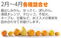 鈴木農園の旬の柑橘詰め合わせ&nbsp;4.5kg～5kg&nbsp;箱&nbsp;2月～4月発送